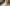 Pulsazioni, respirazione e altri parametri vitali del gatto